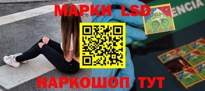 шишки Тверь