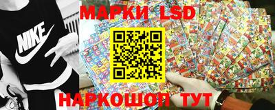 тгк Ставрополь