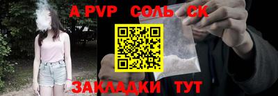 шишки Тверь